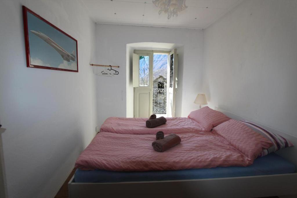 Camera In Casa Eva Brione  Ngoại thất bức ảnh